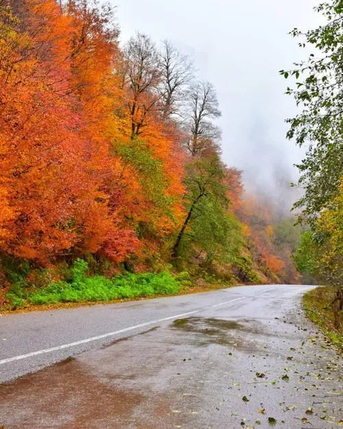 پاییز هزار رنگ در " جاده ماسوله " گیلان 🍁🍁🍁