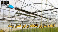 چگونه گلخانه خود را برای فصل رشد جدید آماده کنیم