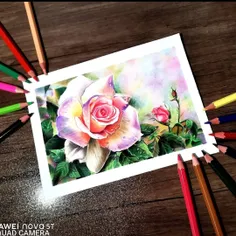 تابلو گل تکنیک مداد رنگی 