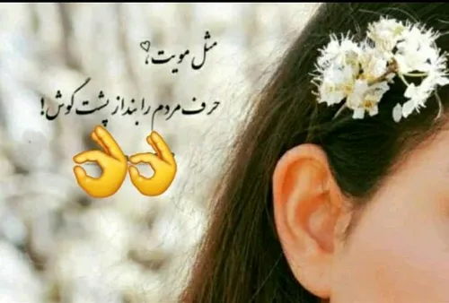 کسی هست این رو قبول نداشته باشه؟ 🙂