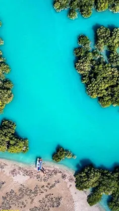 عکس هوایی بی نظیر از جنگل های کم نظیر حرا در جزیره #قشم 😍