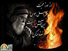 شهوت کشنده ی عشق است ...