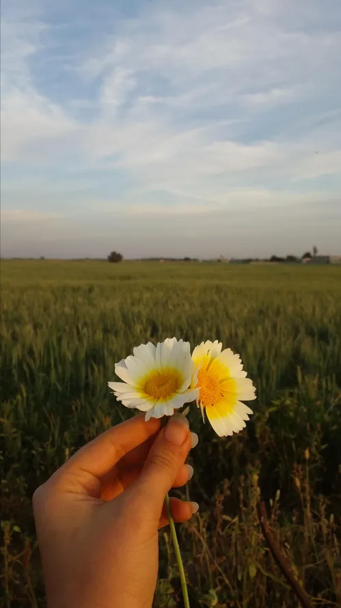 الهی و ربی من لی غیرک ...ارامش دلهای بی قرار من غیر از تو