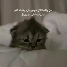 خطاب به بی تی اس:)🤌🏻💜