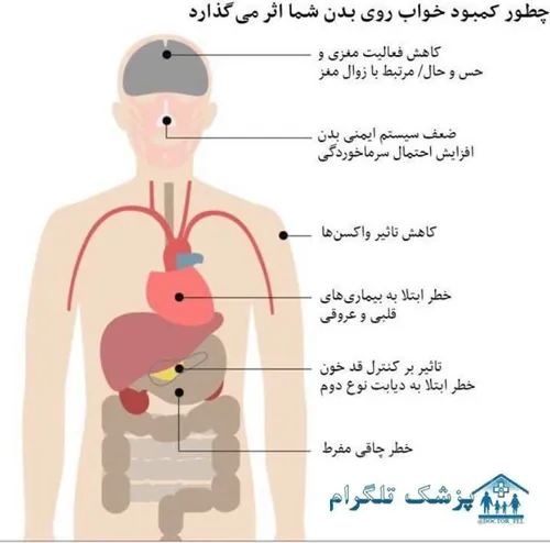 سلامت و تندرستی m.ravatangmailcom 25638662 - عکس ویسگون