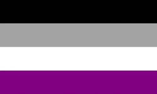asexuality we exist love is love