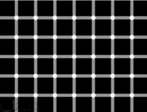 چالش بینایی چند تا نقطه سیاه تو تصویر میبینی در واقع هیچ 