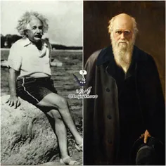 آلبرت انیشتن روزانه سه مایل و داروین هم روزانه سه نوبت 45