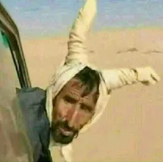 استتار کرده از مرز رد شه!😄 😂