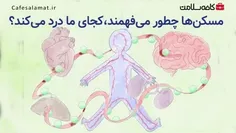 مسکن‌ها چطور میفهمن کجای ما درد می‌کنه؟