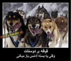 واقعا