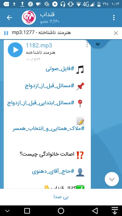 🎵 فایل صوتی