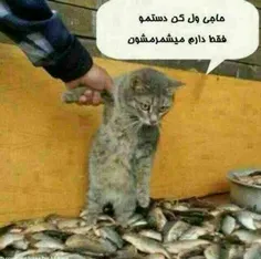 اینم یه جورشه