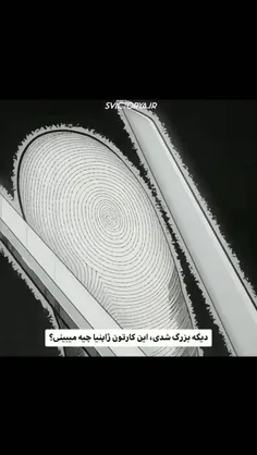 یه جوجه کبوتر اوردم خونمون🥹 حالا هم سگ دارم هم گربه هم کب