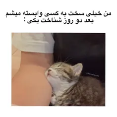 حققققق😂😂😂