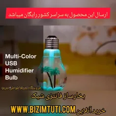 بخور سرد طرح لامپ Bulb humidifier