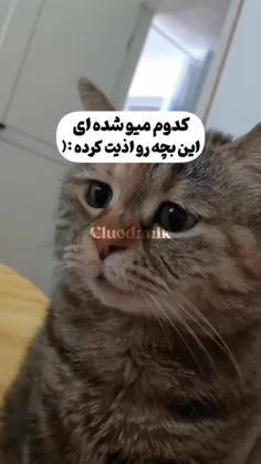 کی اذیتت کرده برم بزنمش🥺♥️