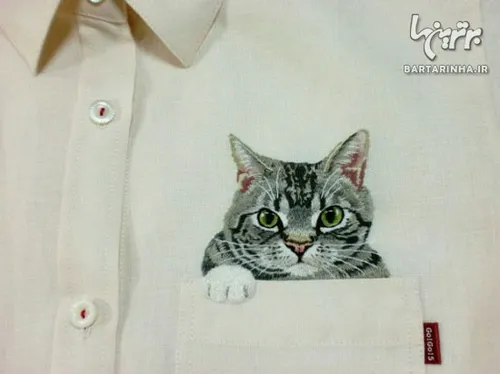 هیروکو کوبوتا، هنرمند ژاپنی، از گربه هایی که در اینترنت م