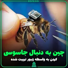 جاسوسی چین به واسطه کنترل زنبور کارگر