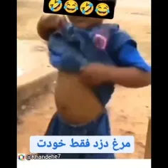 دزد مرغ پیدا شد 😁😁😁