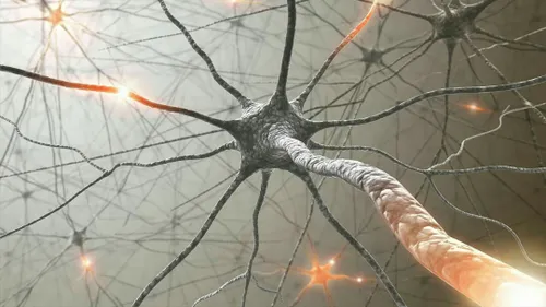 پیوندهای عصبی در مغز انسان بیشتر از تعداد ستارگان در کهکش