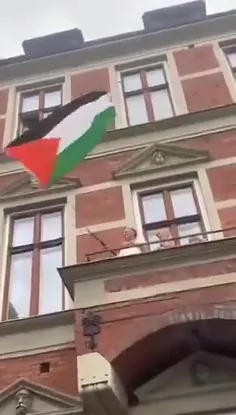 پادشاه دانمارک پرچم فلسطین رو از بالکن خانه‌اش به اهتزاز 