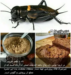 به به 😍😋😋معلومه خیلی خوشمزه ست...