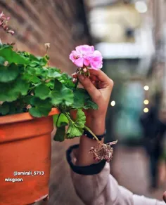 #3_روز_تا_بهار 🌺🍃