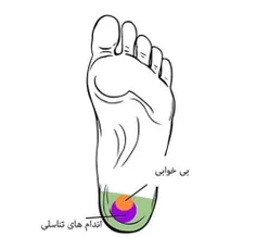 ✴️منطقه پنجم