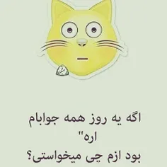 چی؟*_*