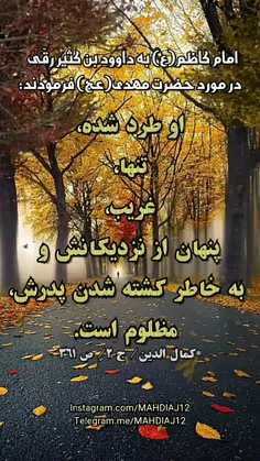 امام کاظم(ع) به داوود بن کثیر رقّی درباره #امام_زمان(عج) 