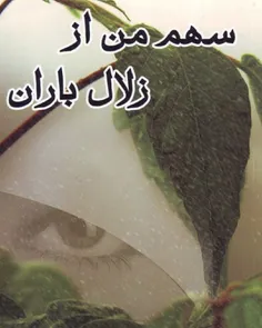 دانلود کتاب سهم من از زلال باران نویسنده فریده رهنما