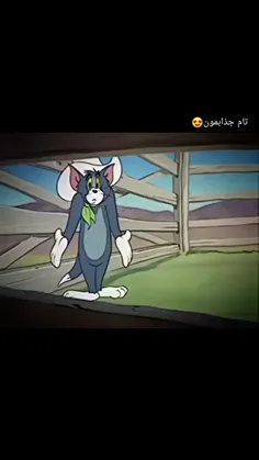 چه باحال•_•