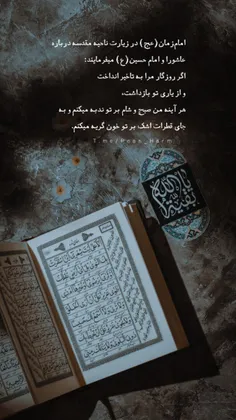 امام‌زمان‌(عج) در زیارت‌ ناحیه‌ مقدسه‌