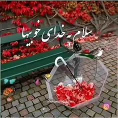 صبح پاییزی بخیر