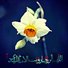 َ﷽🍃 آقا ببخش که دعاهایمان دعا نشد 