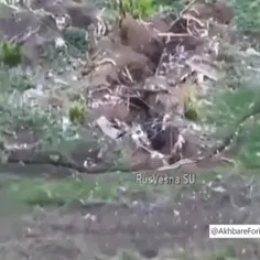 شکار ریزپرنده اوکراینی با کیسه سیب زمینییک سرباز روسی 