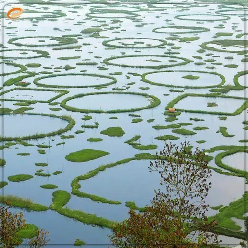 بخون دریاچه کوکتاک از عجایب طبیعی هند است که در شهر ایمفا