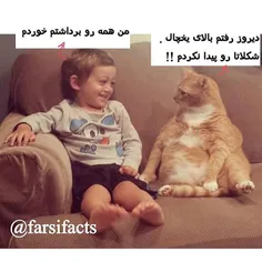 #پت#petfarsifacts#catlogic#cat