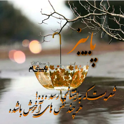 🍁 پاییزےام🍁