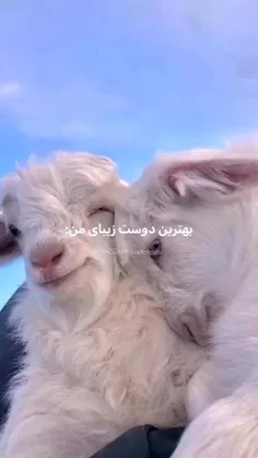 تقدیم به دوست صمیمیم 🥲🫂