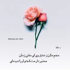 منعم مکن ز عشق وی ای مفتی زمان...