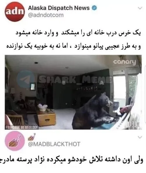 مردم خیلی نامرد شدن..اون تمام تلاشش و کرد...💔🥲🗿