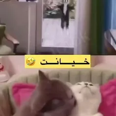 خیانت نکنید 😂😂😂😂😂