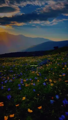 در هر قدم به سوی خدا حرکت کنید و در مسیر نورانی قرآن قرار
