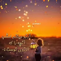 در این شب دل انگیز