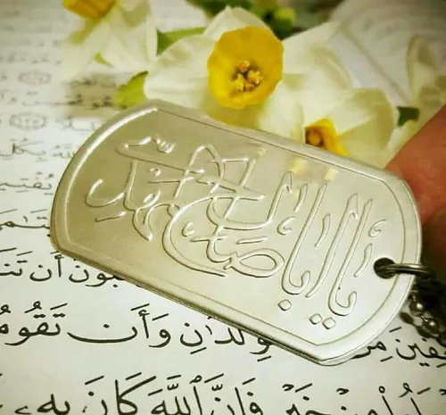 ✨ اگر کسی دلش برای حضرت حجت (عج) تنگ شد ، به صفحات قرآن ن