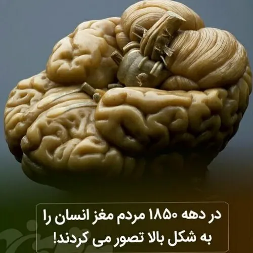 عکس نوشته دانستنیها