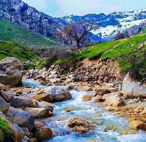 طبیعت ahmadreza.j.97 10838068 - عکس ویسگون