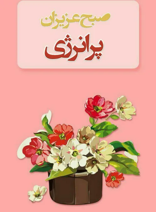 گوناگون khatoon2468 32386989 - عکس ویسگون